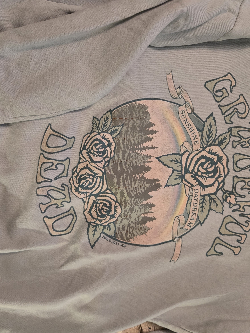 abercrombie kids Lavender Graphic Sweatshirt with Rose & Sunset Motif